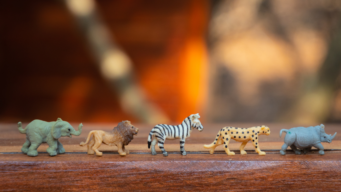 Animal Tourism – Your Enjoyment their Harassment
